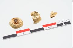 Foto von Goldknöpfe (NHMW-PRAE-025763)
